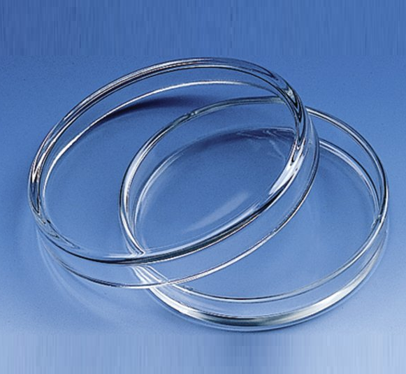 Petri dish, 60 mm x 15 mm