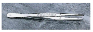 Forceps, 10"
